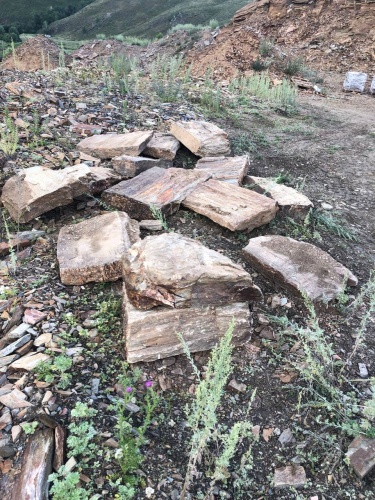 Плитняк кора дерева 50-100мм для пошаговых дорожек купить в Королёве